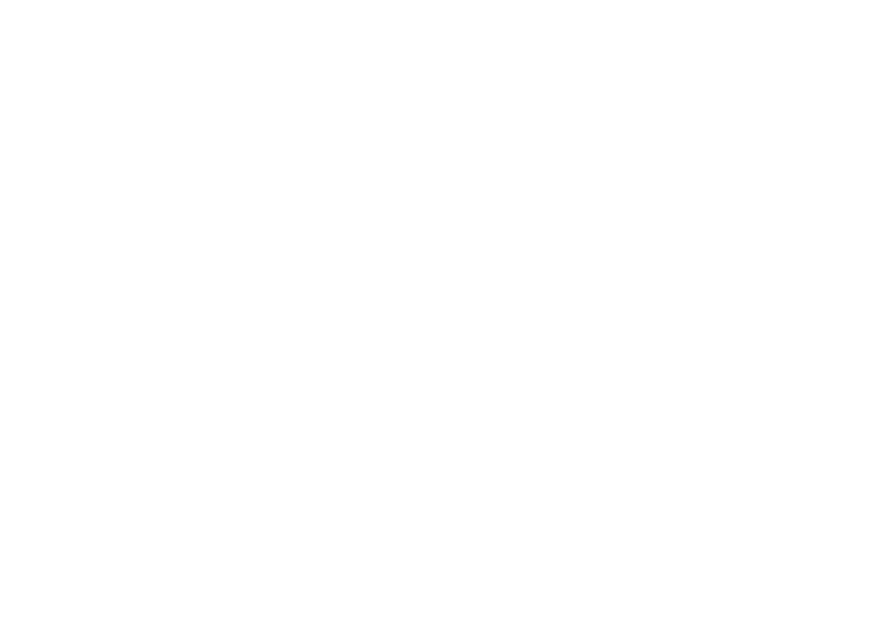 ZULKI logo blanco