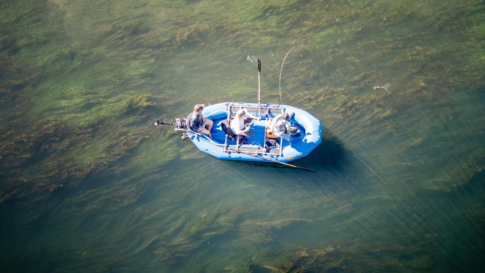 ZULKI Coolers pesca con mosca